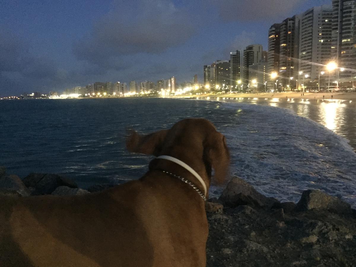 Apartamento Na Melhor Localizacao De Fortaleza!! Kültér fotó