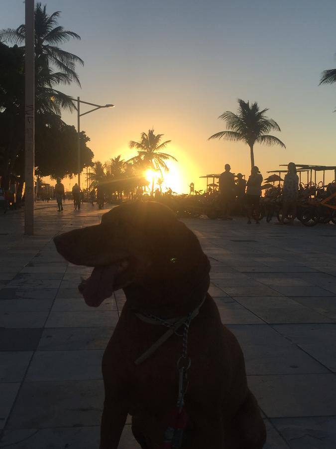 Apartamento Na Melhor Localizacao De Fortaleza!! Kültér fotó